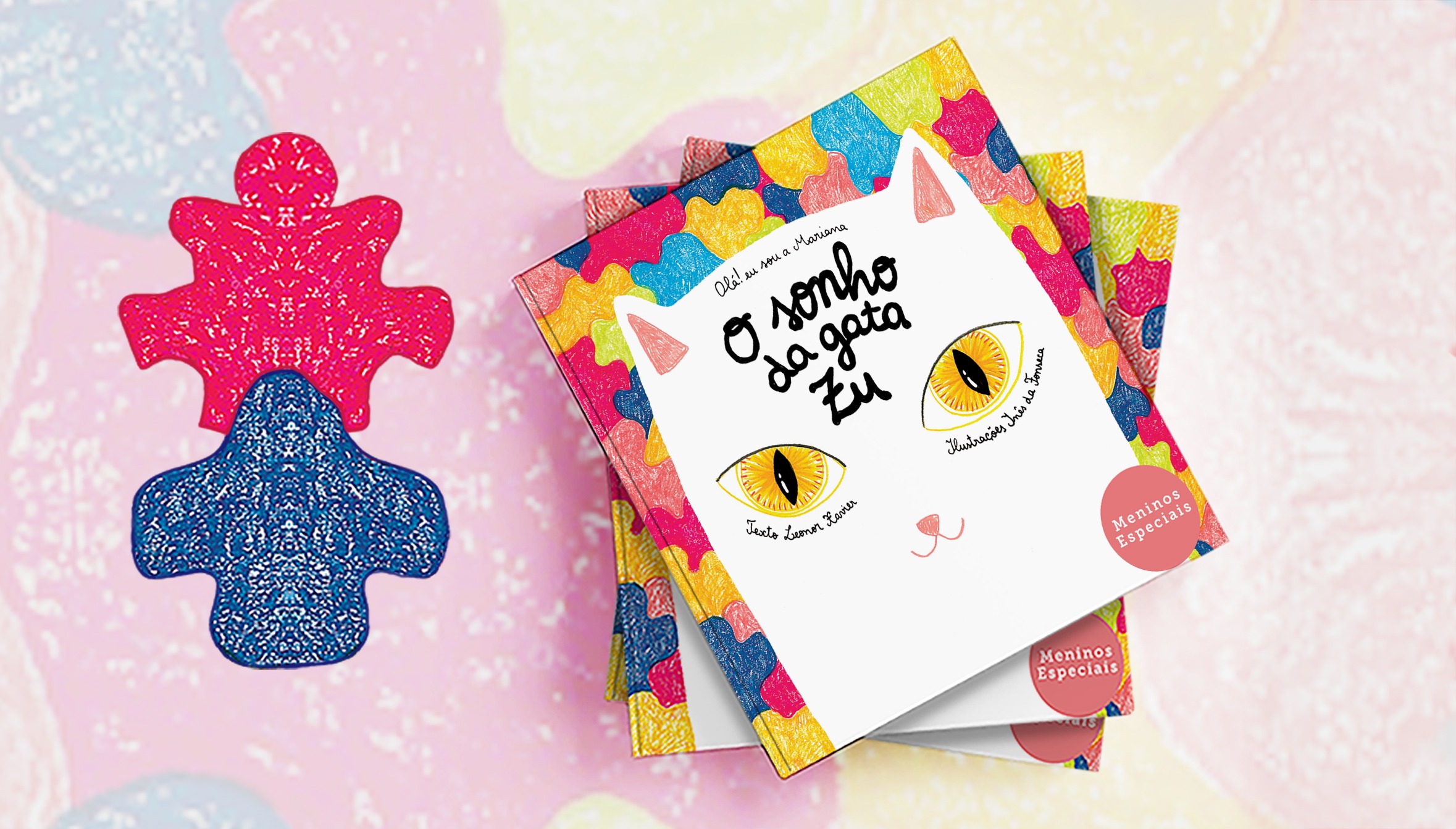 MENINOS ESPECIAIS - CAPA O SONHO DA GATA ZU